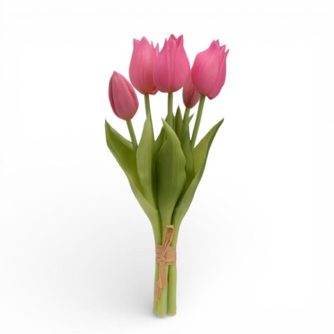 TULIPANI CM.25 3 FIORI 2 BOCCIOLI BEAUTY